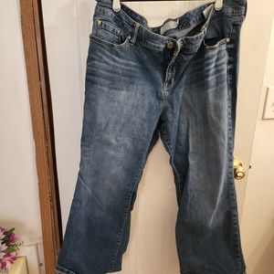 Torrid jeggins 22XS